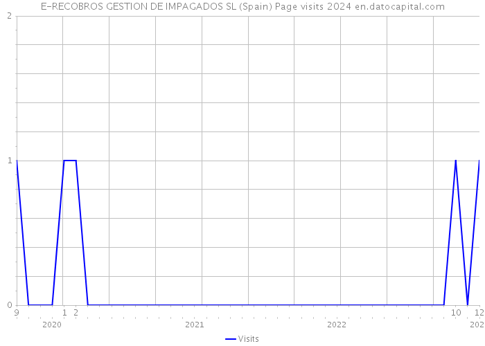 E-RECOBROS GESTION DE IMPAGADOS SL (Spain) Page visits 2024 
