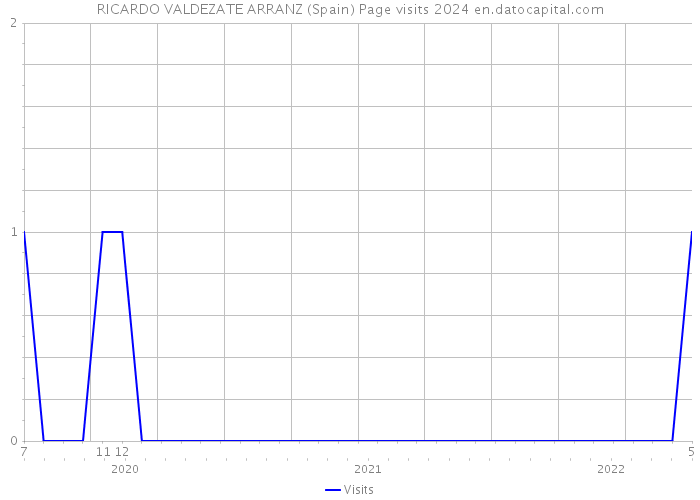 RICARDO VALDEZATE ARRANZ (Spain) Page visits 2024 