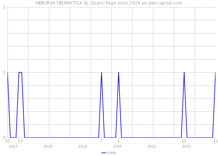 NEBURSA NEUMATICA SL (Spain) Page visits 2024 