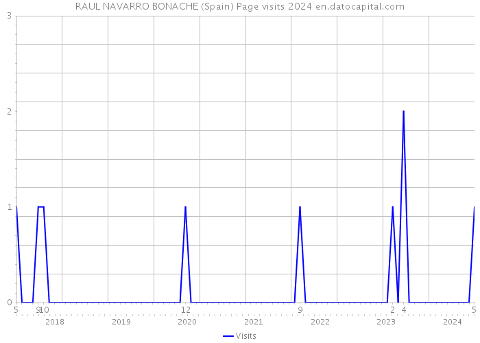 RAUL NAVARRO BONACHE (Spain) Page visits 2024 
