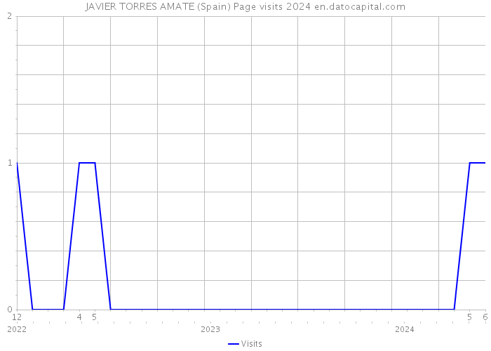JAVIER TORRES AMATE (Spain) Page visits 2024 