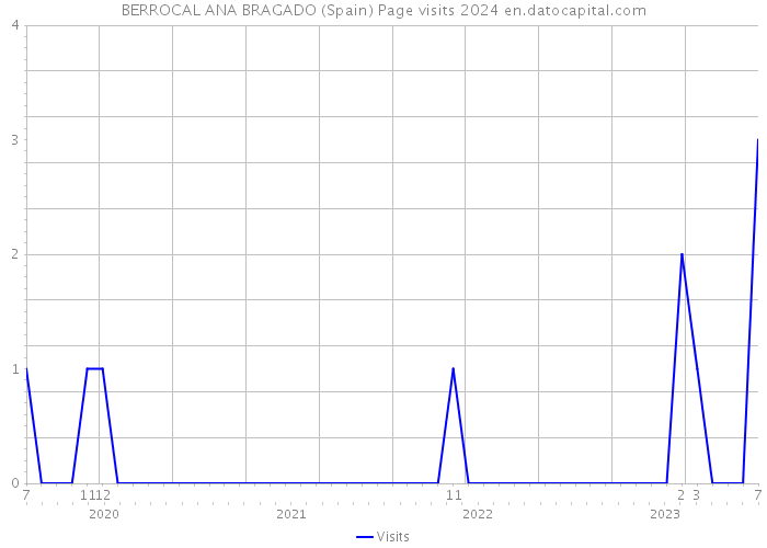 BERROCAL ANA BRAGADO (Spain) Page visits 2024 