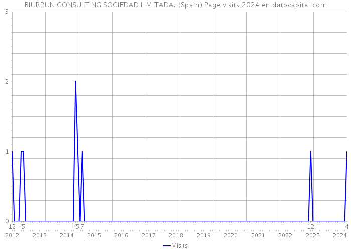 BIURRUN CONSULTING SOCIEDAD LIMITADA. (Spain) Page visits 2024 