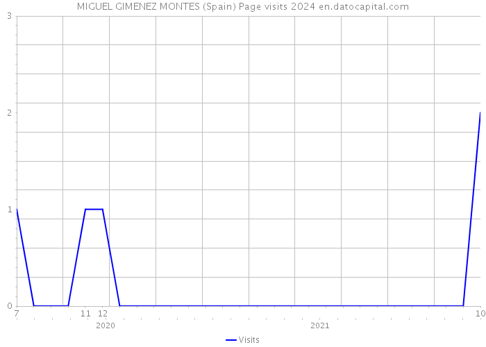 MIGUEL GIMENEZ MONTES (Spain) Page visits 2024 