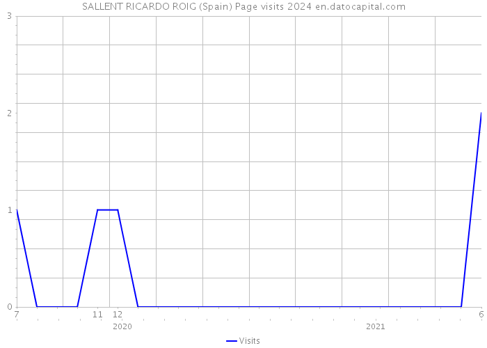 SALLENT RICARDO ROIG (Spain) Page visits 2024 