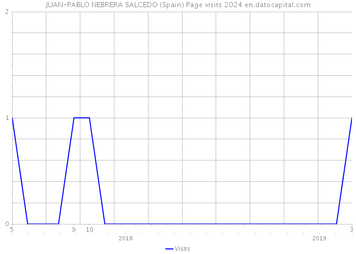 JUAN-PABLO NEBRERA SALCEDO (Spain) Page visits 2024 