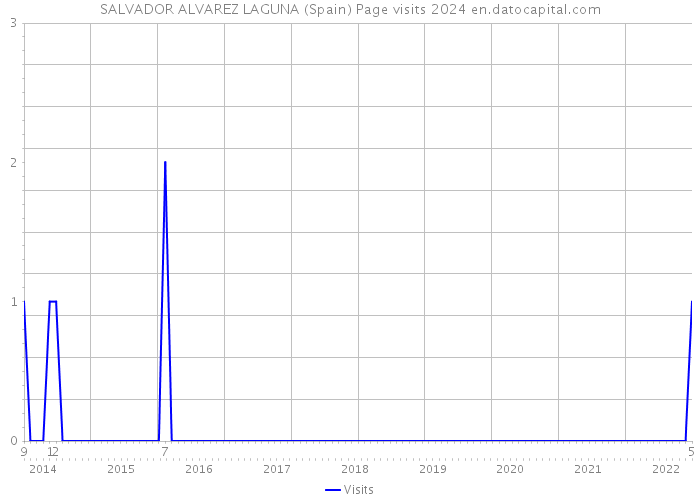 SALVADOR ALVAREZ LAGUNA (Spain) Page visits 2024 