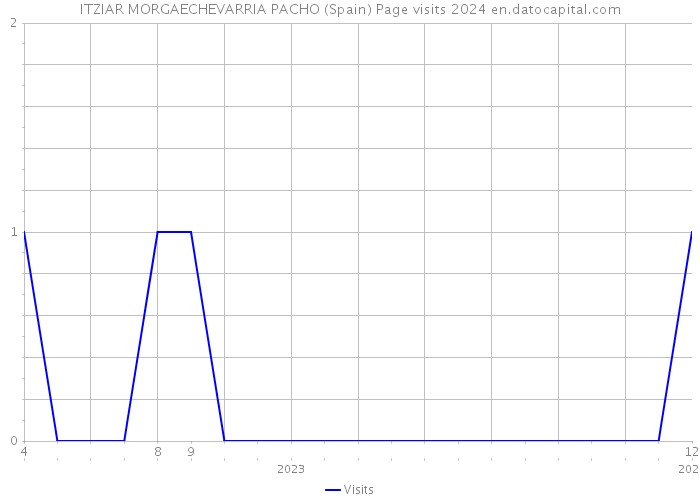 ITZIAR MORGAECHEVARRIA PACHO (Spain) Page visits 2024 