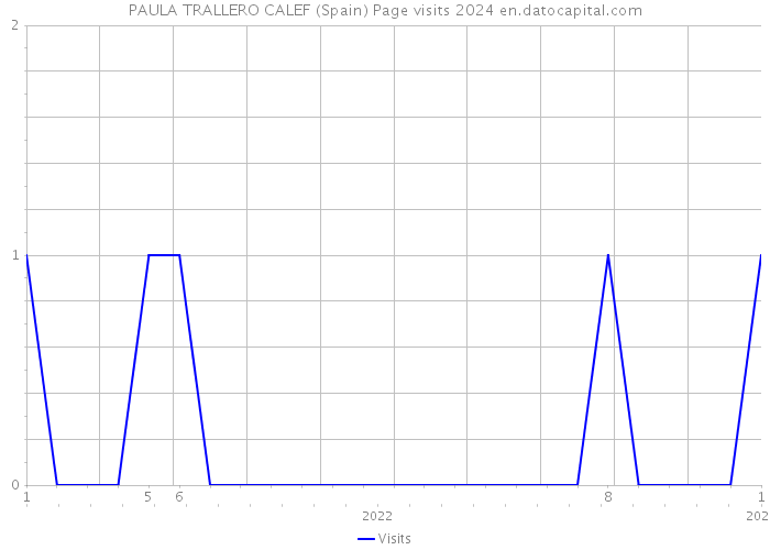 PAULA TRALLERO CALEF (Spain) Page visits 2024 