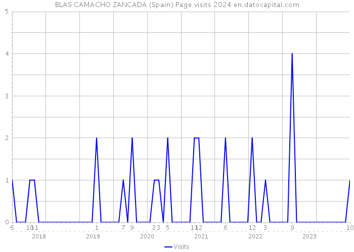BLAS CAMACHO ZANCADA (Spain) Page visits 2024 