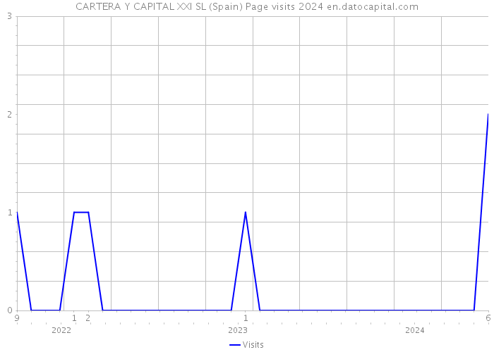 CARTERA Y CAPITAL XXI SL (Spain) Page visits 2024 