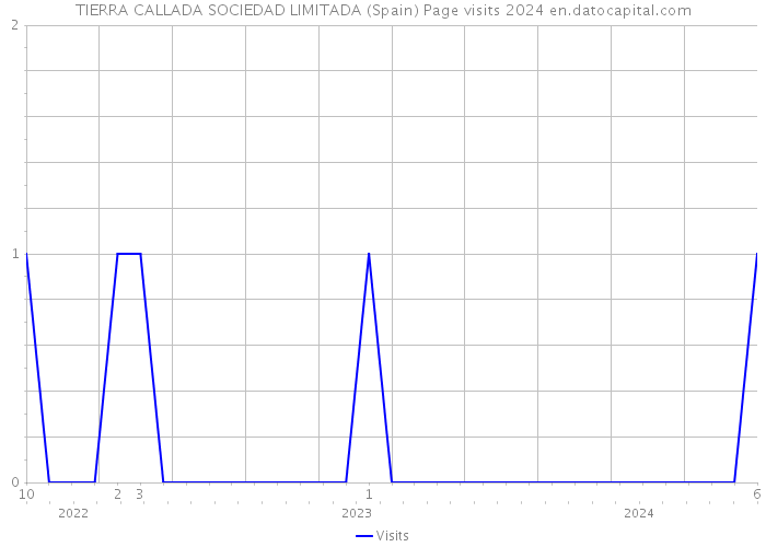 TIERRA CALLADA SOCIEDAD LIMITADA (Spain) Page visits 2024 
