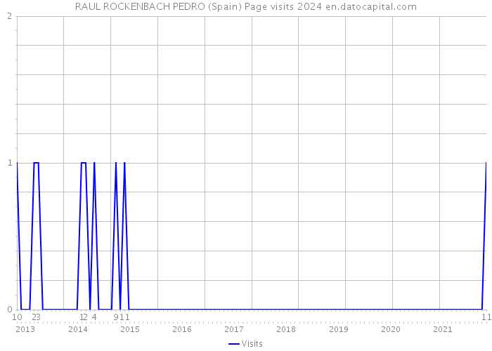 RAUL ROCKENBACH PEDRO (Spain) Page visits 2024 