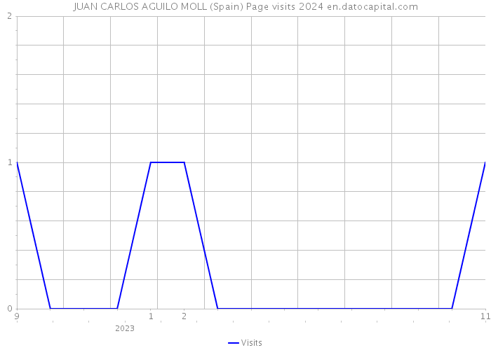 JUAN CARLOS AGUILO MOLL (Spain) Page visits 2024 