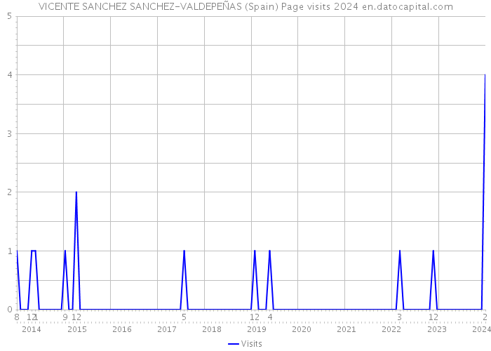 VICENTE SANCHEZ SANCHEZ-VALDEPEÑAS (Spain) Page visits 2024 
