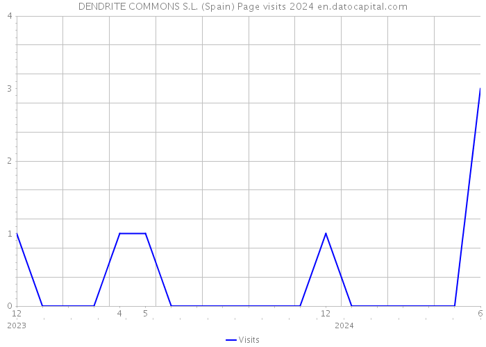 DENDRITE COMMONS S.L. (Spain) Page visits 2024 