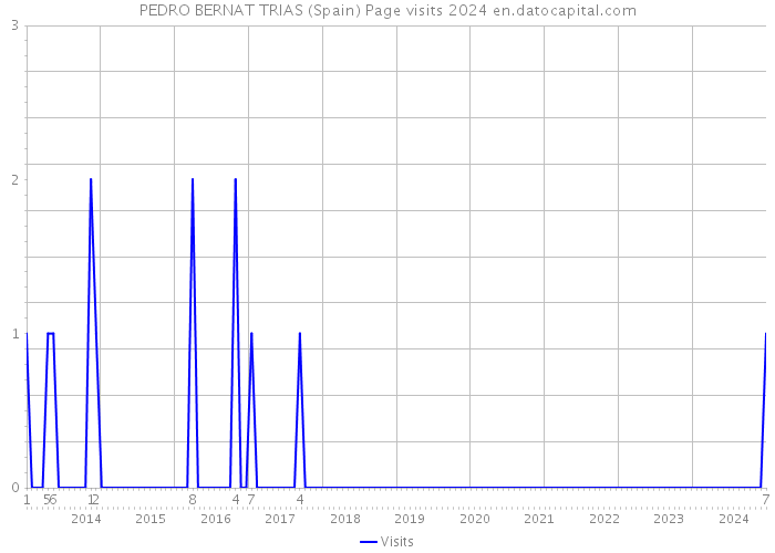 PEDRO BERNAT TRIAS (Spain) Page visits 2024 