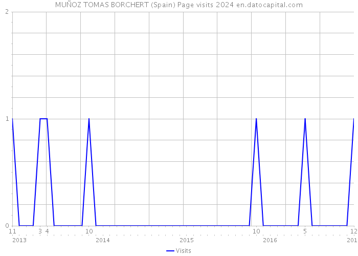 MUÑOZ TOMAS BORCHERT (Spain) Page visits 2024 