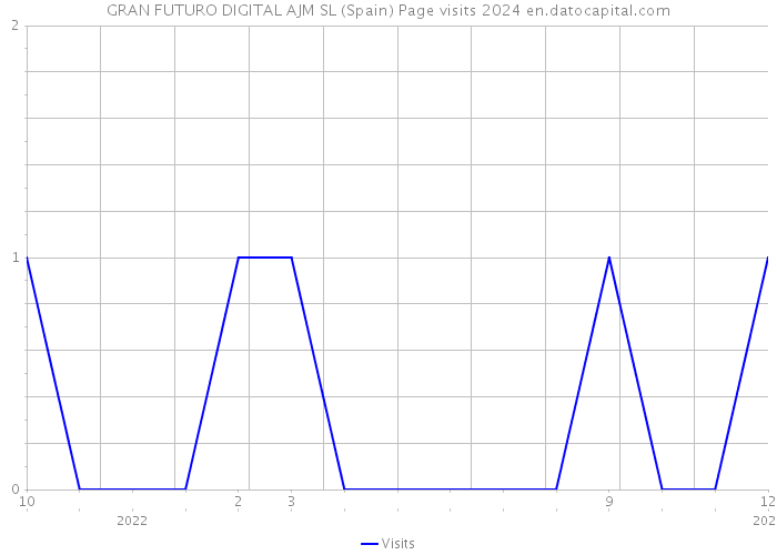 GRAN FUTURO DIGITAL AJM SL (Spain) Page visits 2024 