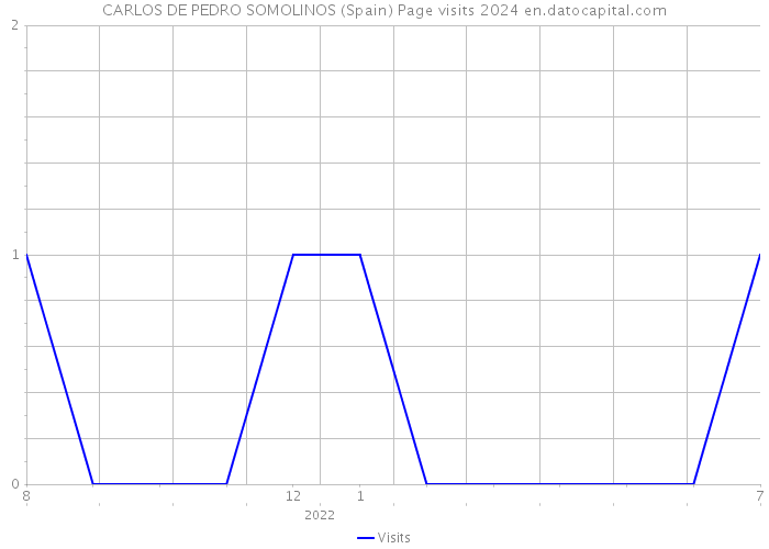 CARLOS DE PEDRO SOMOLINOS (Spain) Page visits 2024 