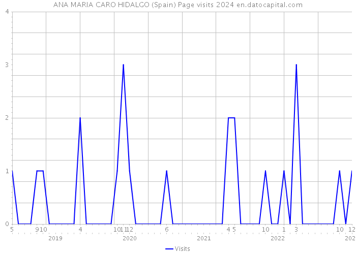 ANA MARIA CARO HIDALGO (Spain) Page visits 2024 