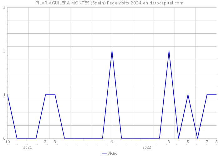 PILAR AGUILERA MONTES (Spain) Page visits 2024 
