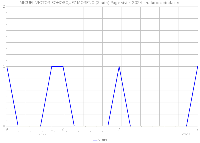 MIGUEL VICTOR BOHORQUEZ MORENO (Spain) Page visits 2024 