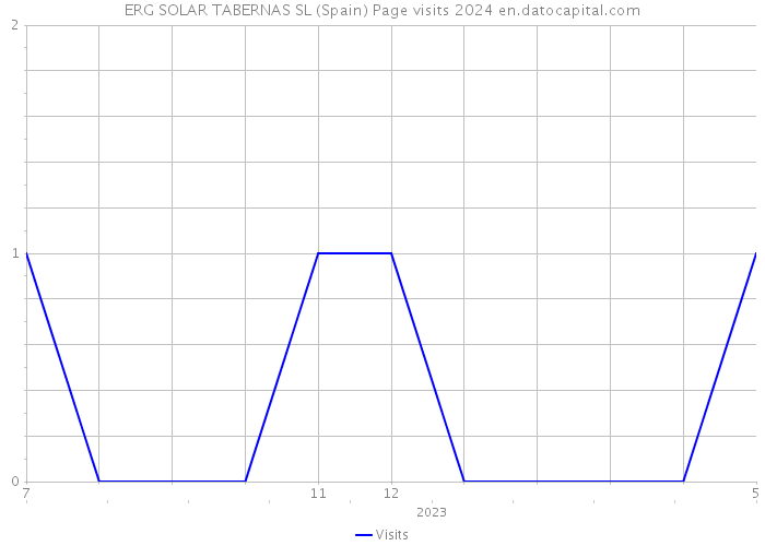 ERG SOLAR TABERNAS SL (Spain) Page visits 2024 