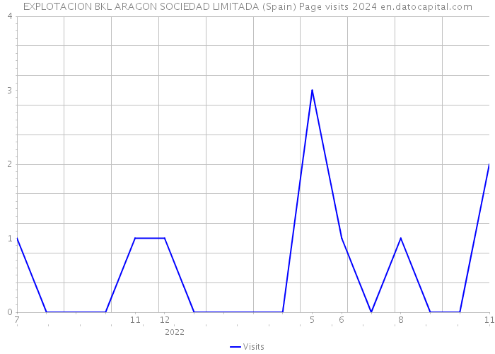 EXPLOTACION BKL ARAGON SOCIEDAD LIMITADA (Spain) Page visits 2024 