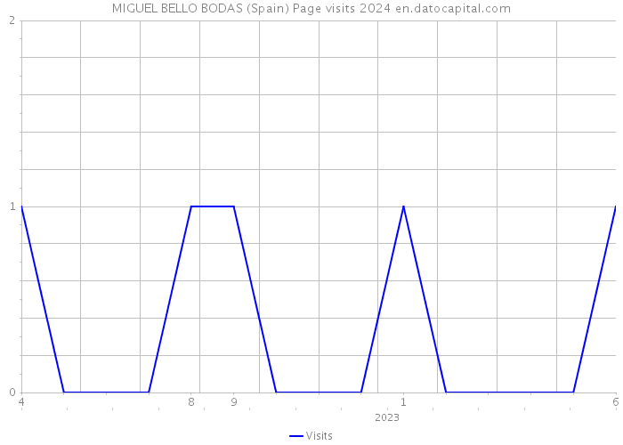 MIGUEL BELLO BODAS (Spain) Page visits 2024 