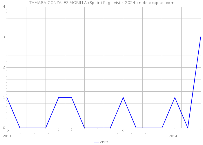 TAMARA GONZALEZ MORILLA (Spain) Page visits 2024 