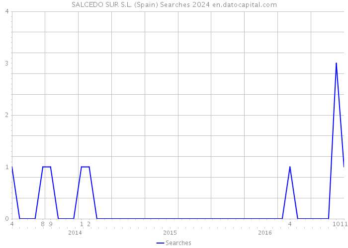 SALCEDO SUR S.L. (Spain) Searches 2024 