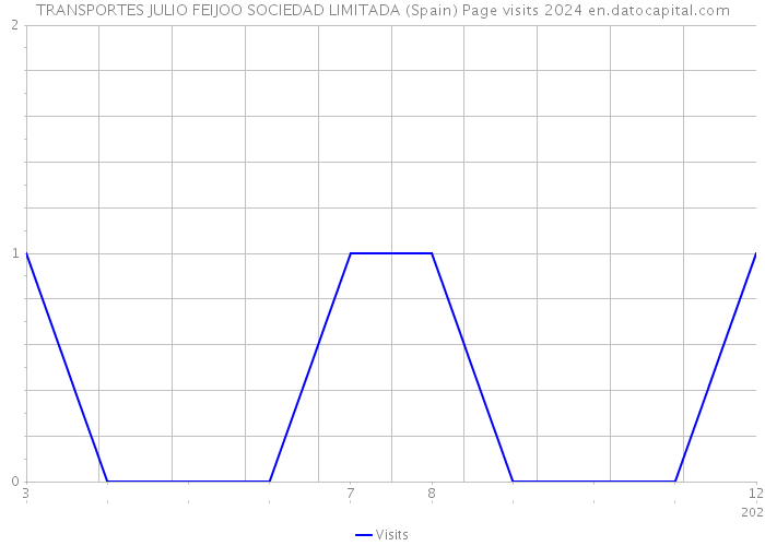 TRANSPORTES JULIO FEIJOO SOCIEDAD LIMITADA (Spain) Page visits 2024 