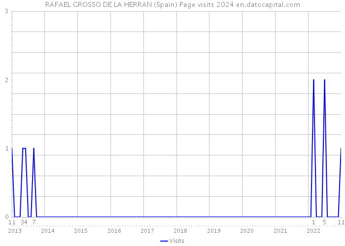 RAFAEL GROSSO DE LA HERRAN (Spain) Page visits 2024 