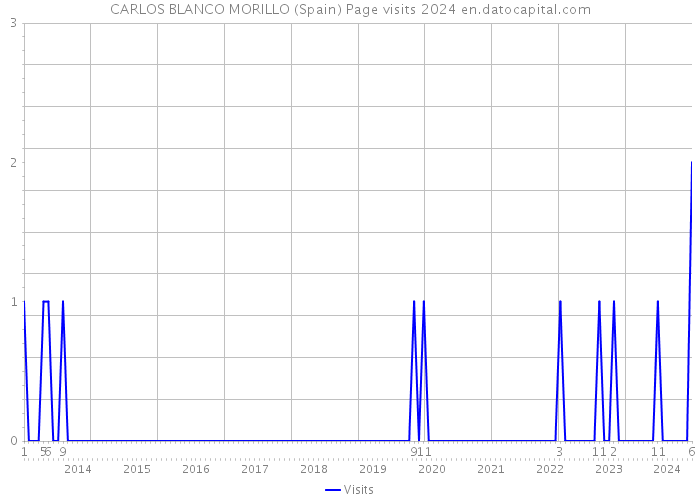 CARLOS BLANCO MORILLO (Spain) Page visits 2024 