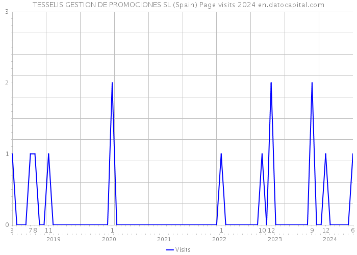 TESSELIS GESTION DE PROMOCIONES SL (Spain) Page visits 2024 