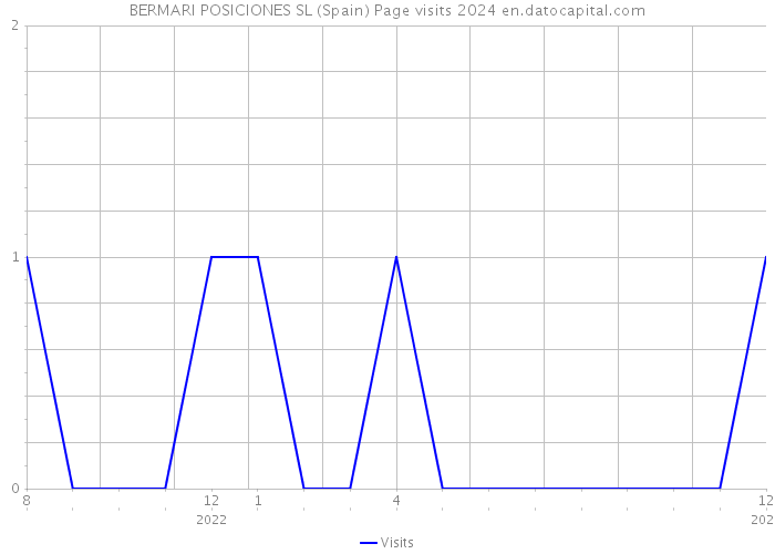 BERMARI POSICIONES SL (Spain) Page visits 2024 