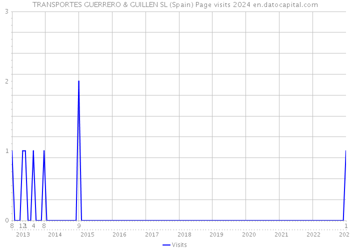 TRANSPORTES GUERRERO & GUILLEN SL (Spain) Page visits 2024 