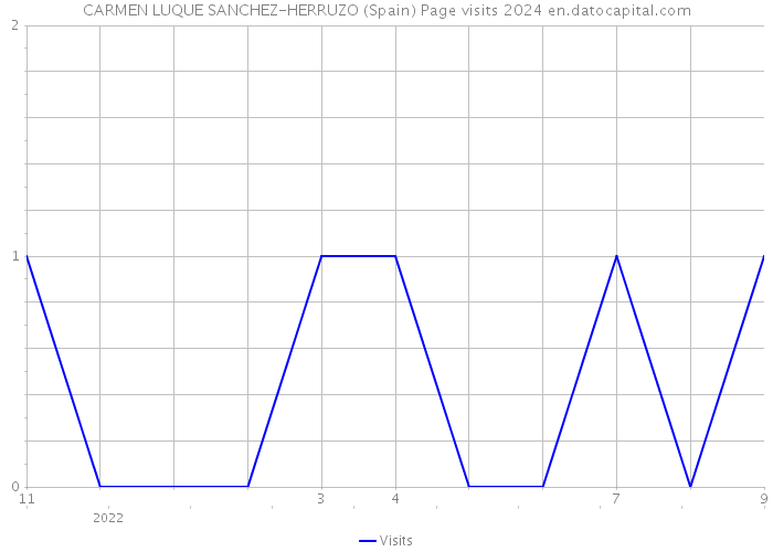 CARMEN LUQUE SANCHEZ-HERRUZO (Spain) Page visits 2024 