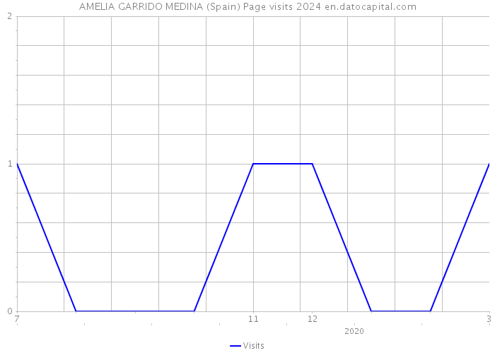 AMELIA GARRIDO MEDINA (Spain) Page visits 2024 