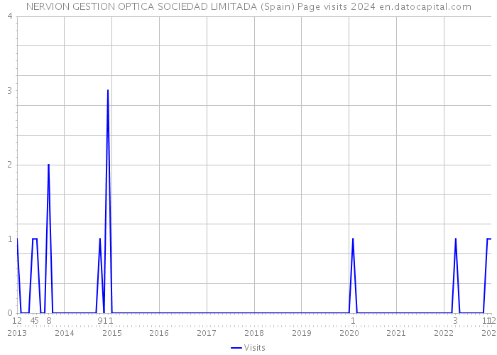 NERVION GESTION OPTICA SOCIEDAD LIMITADA (Spain) Page visits 2024 