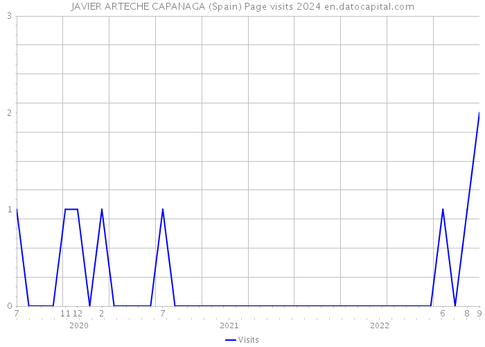 JAVIER ARTECHE CAPANAGA (Spain) Page visits 2024 