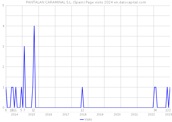 PANTALAN CARAMINAL S.L. (Spain) Page visits 2024 
