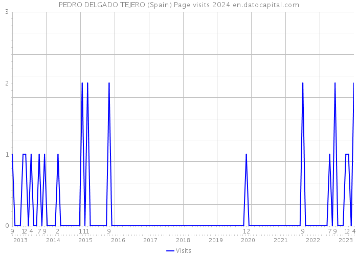 PEDRO DELGADO TEJERO (Spain) Page visits 2024 