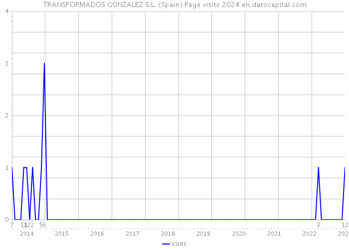 TRANSFORMADOS GONZALEZ S.L. (Spain) Page visits 2024 