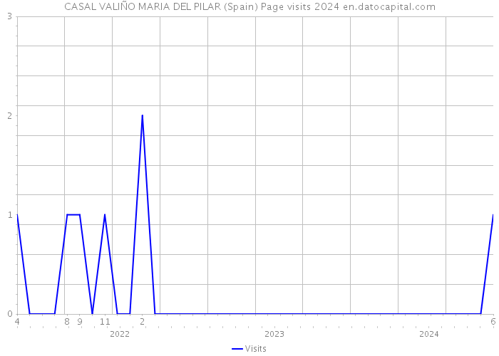 CASAL VALIÑO MARIA DEL PILAR (Spain) Page visits 2024 