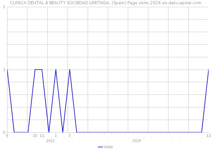CLINICA DENTAL & BEAUTY SOCIEDAD LIMITADA. (Spain) Page visits 2024 