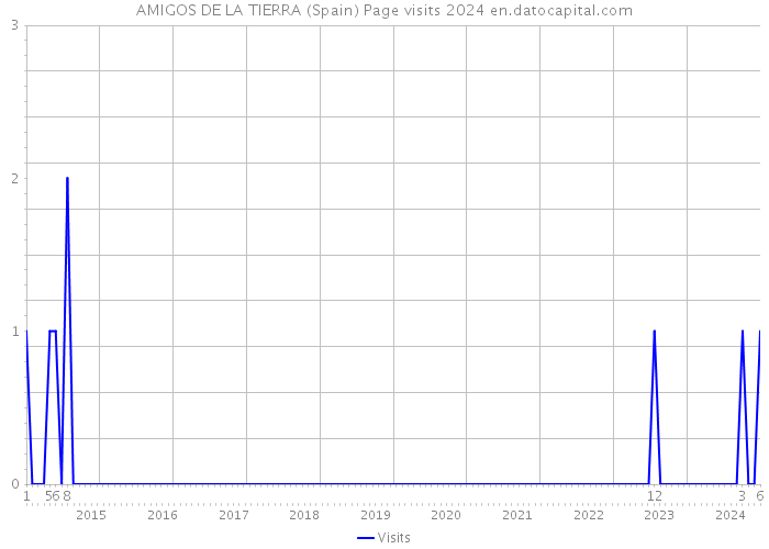 AMIGOS DE LA TIERRA (Spain) Page visits 2024 