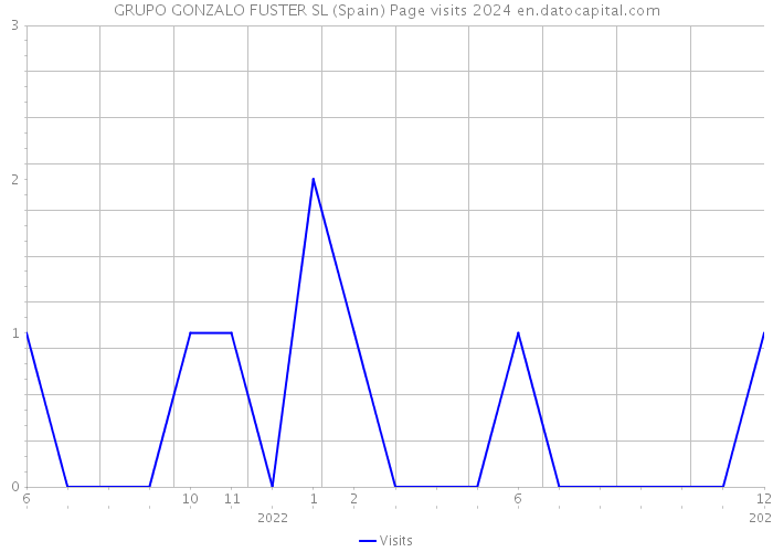 GRUPO GONZALO FUSTER SL (Spain) Page visits 2024 