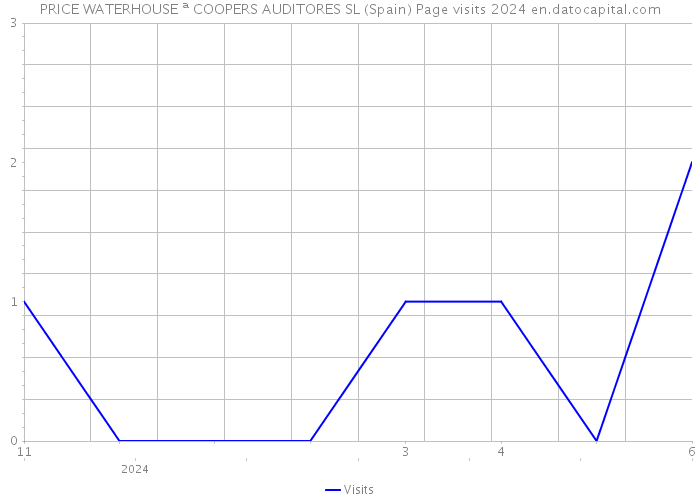 PRICE WATERHOUSE ª COOPERS AUDITORES SL (Spain) Page visits 2024 